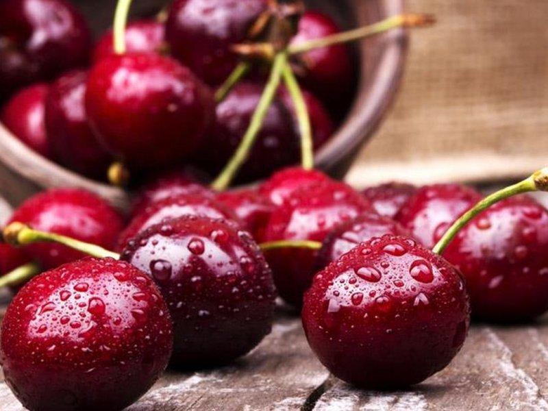 Вишня купить саженцы из питомника в Улан-Удэ